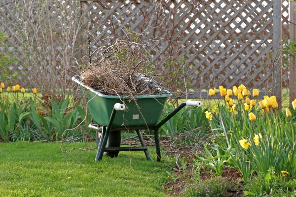 Flower Bed Cleanup Service in Portland