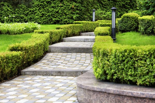 Backyard Remodeling in Portland