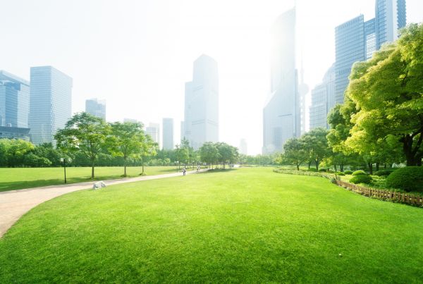 Commercial Landscape Maintenance in Portland