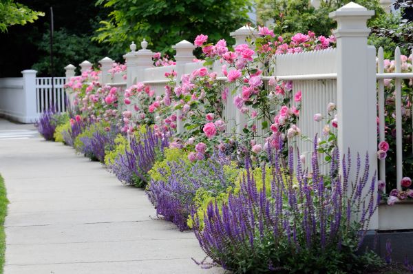 Garden Handyman Service in Portland