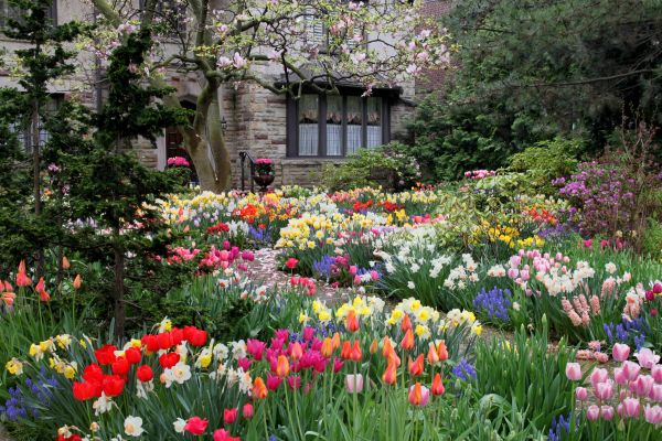 Garden Maintenance Service in Portland