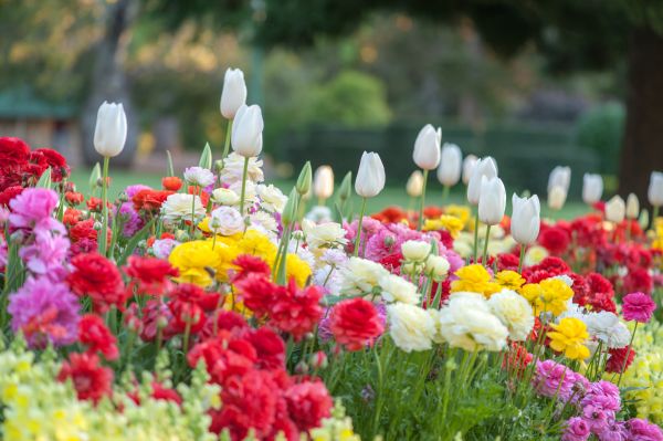 Gardening Service in Portland