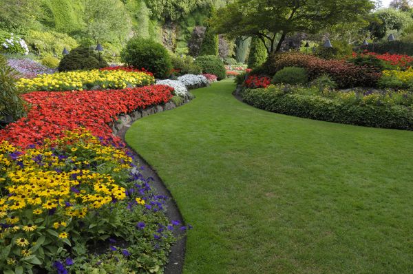 Landscaping Maintenance in Portland