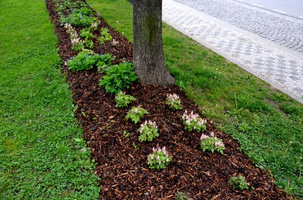 Mulch Replacement Service in Portland