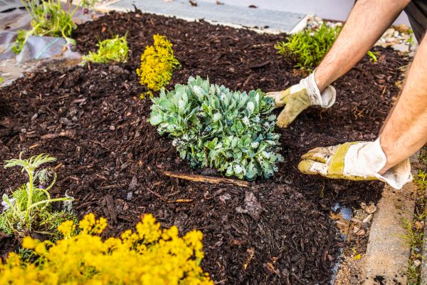 Weeding And Mulching in Portland