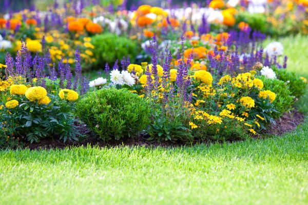 Garden Installation in Portland