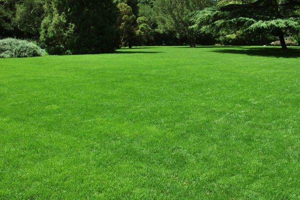 Lawn Landscaping in Portland