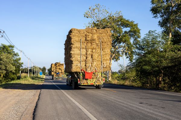 Pine Straw Delivery in Portland