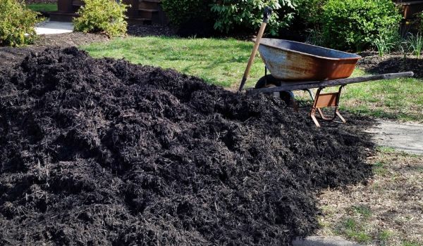 Black Mulch Delivery in Portland