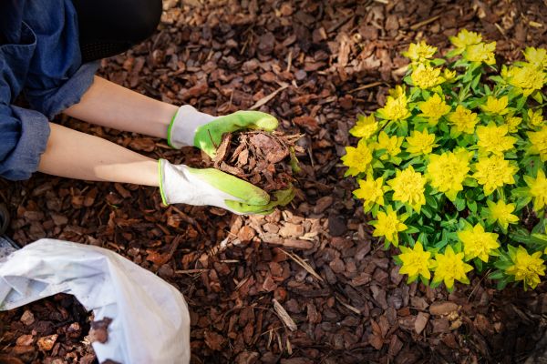 Garden Mulching in Portland