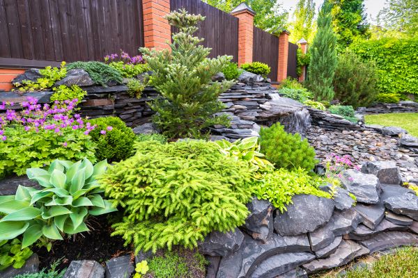 Landscape Remodeling in Portland