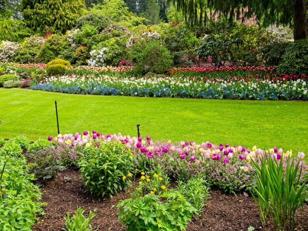 Residential Landscape Design in Portland
