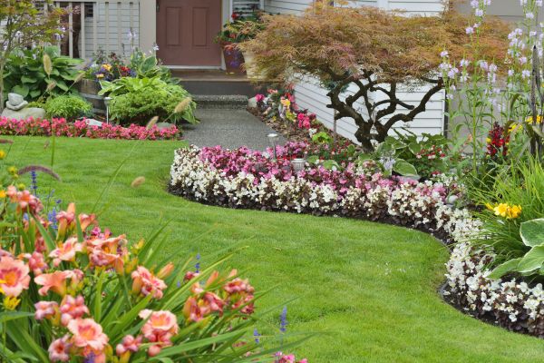 Perennial Landscaping in Portland