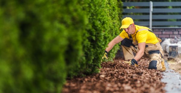Cypress Mulch Installation in Portland
