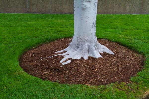 Brown Mulch Installation in Portland