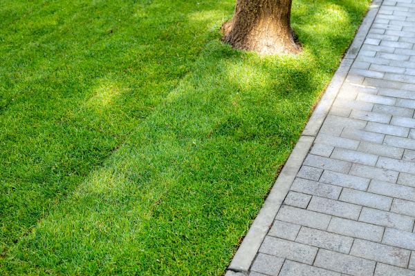 Border Stone Installation in Portland