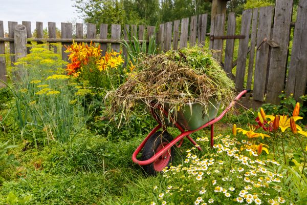 Garden Cleanup Service in Portland