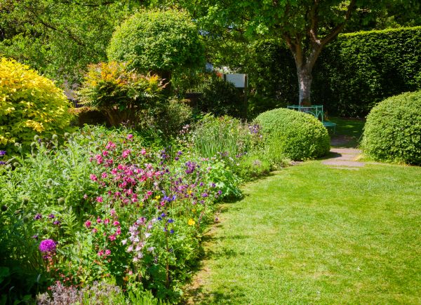Yard Landscaping Service in Portland