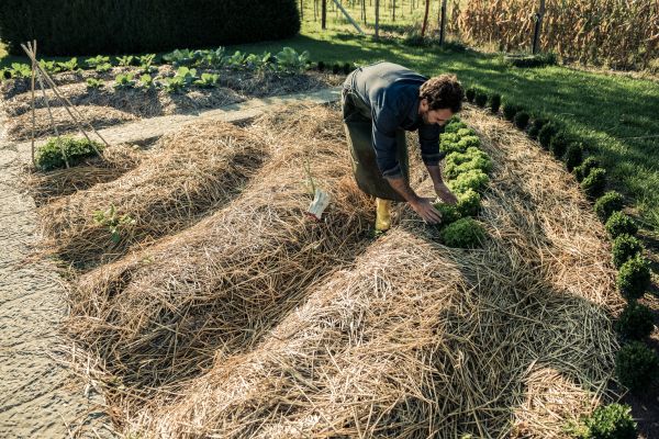 Straw Mulching Service in Portland