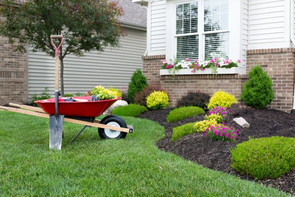 Tree And Shrub Planting in Portland
