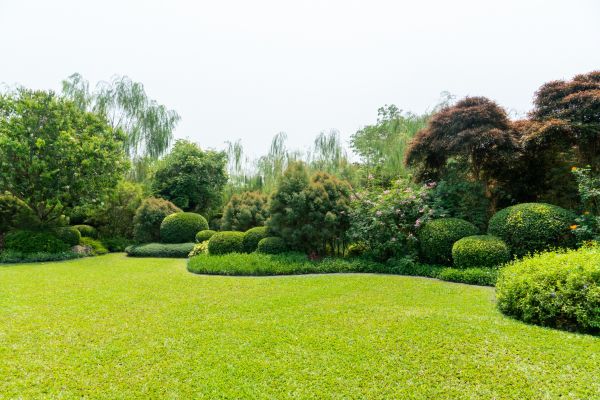 Tree Landscaping in Portland