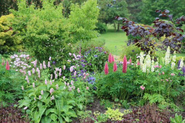 Flower Bed Planting in Portland