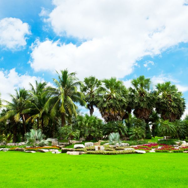 Tropical Landscaping in Portland