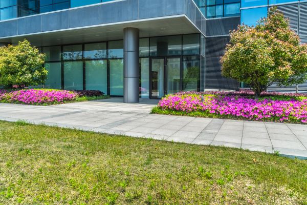 Commercial Gardening in Portland