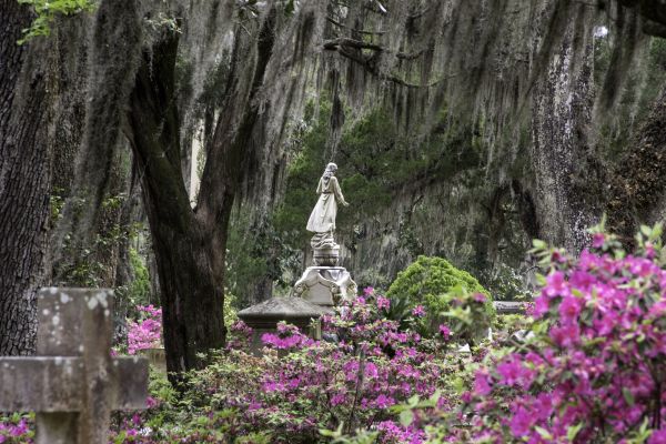 Cemetery Landscaping in Portland