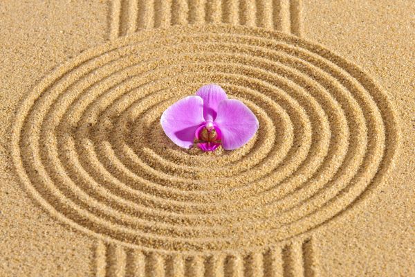 Sand Garden Landscaping in Portland
