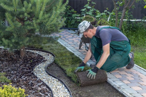 Landscaping Modification in Portland