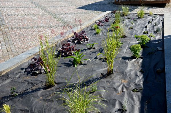 Landscape Fabric Installation in Portland