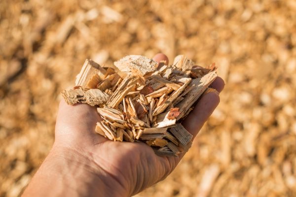 Wood Chips Spreading in Portland