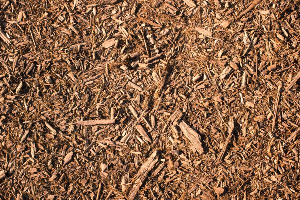 Wood Chips Removal in Portland