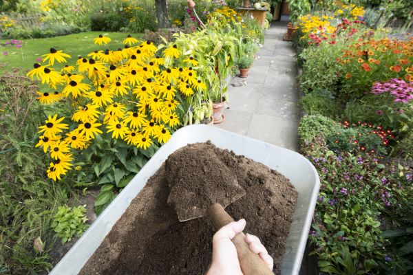 Topsoil Replacement in Portland