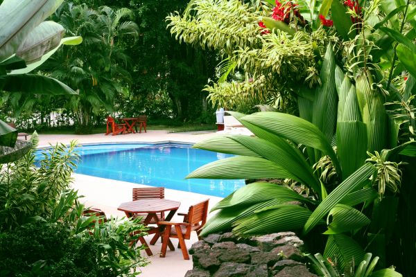Pool Area Landscaping in Portland