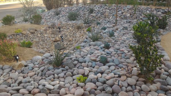 Yard Xeriscaping in Portland