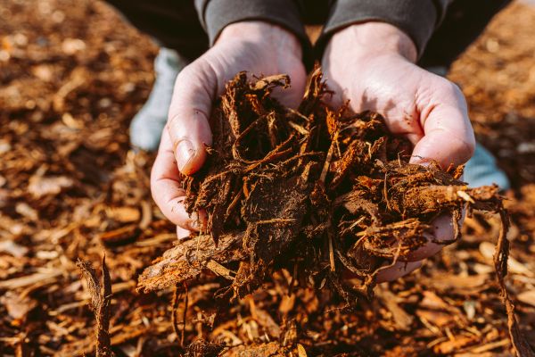 Bark Chips Delivery in Portland