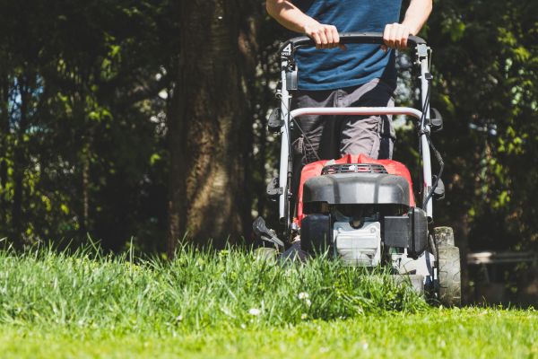 Garden Trimming Service in Portland