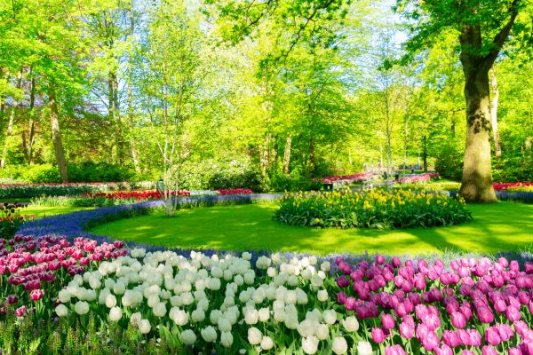 Flower Landscaping in Portland