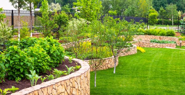 Yard Makeover Service in Portland