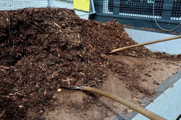 Cedar Bark Delivery in Portland
