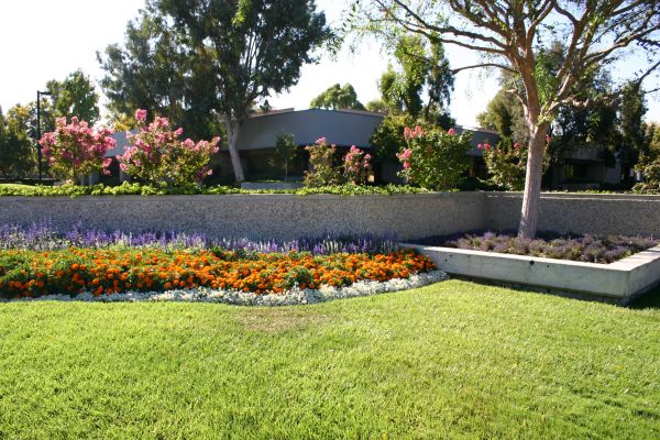 Commercial Landscape Service in Portland