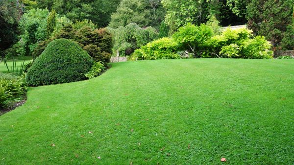 Commercial Landscape Design in Portland