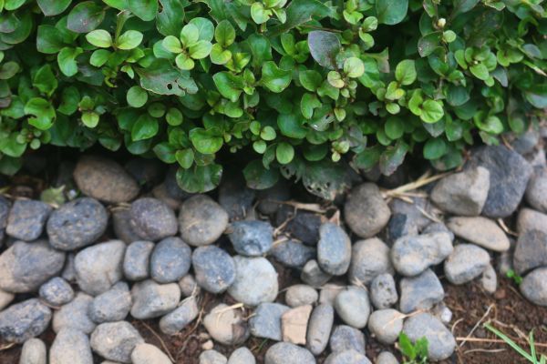 River Stone Installation in Portland