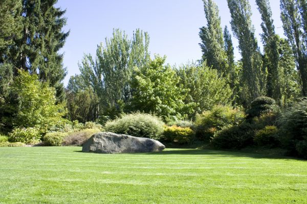 Yard Enlargement in Portland