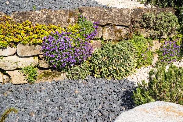 Landscaping Rocks Installation in Portland