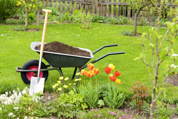 Spring Yard Renovation in Portland