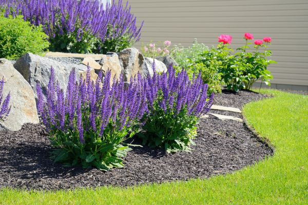 Landscape Planting Service in Portland