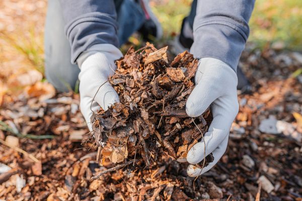 Shredded Mulch Installation in Portland